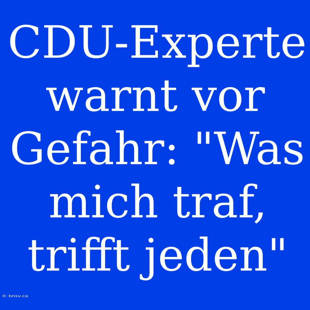 CDU-Experte Warnt Vor Gefahr: 