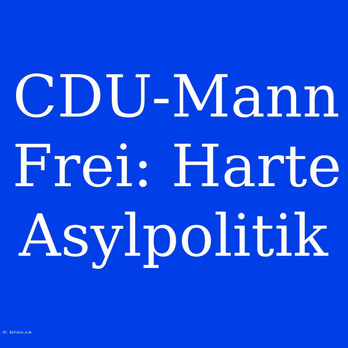 CDU-Mann Frei: Harte Asylpolitik