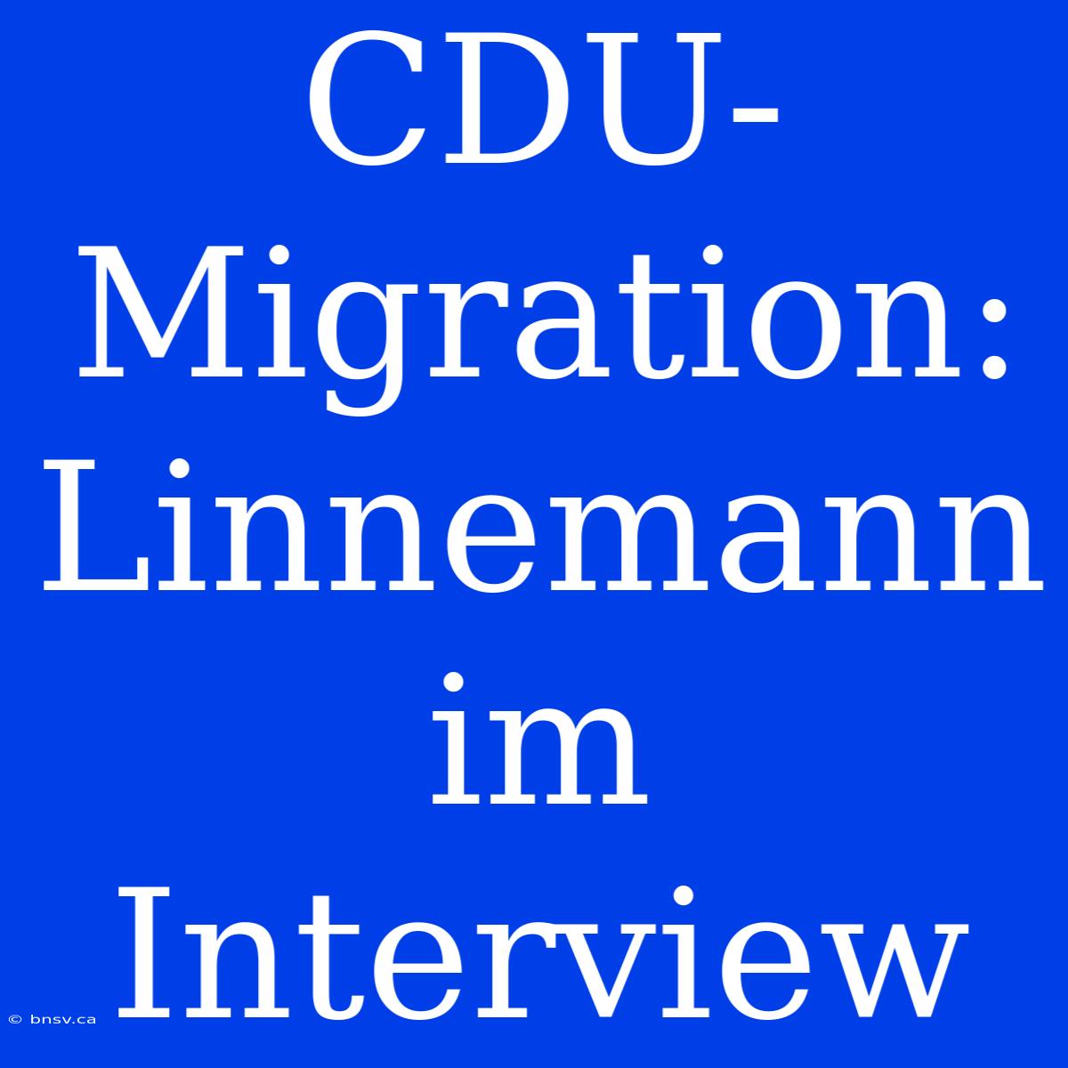 CDU-Migration: Linnemann Im Interview