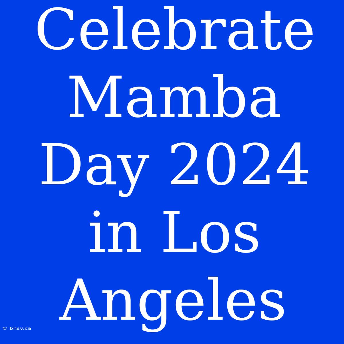 Celebrate Mamba Day 2024 In Los Angeles