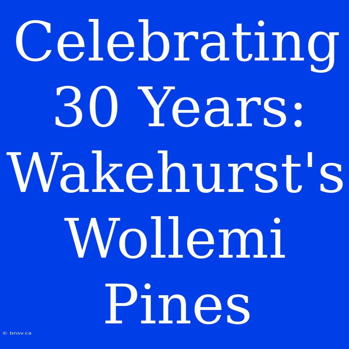 Celebrating 30 Years: Wakehurst's Wollemi Pines