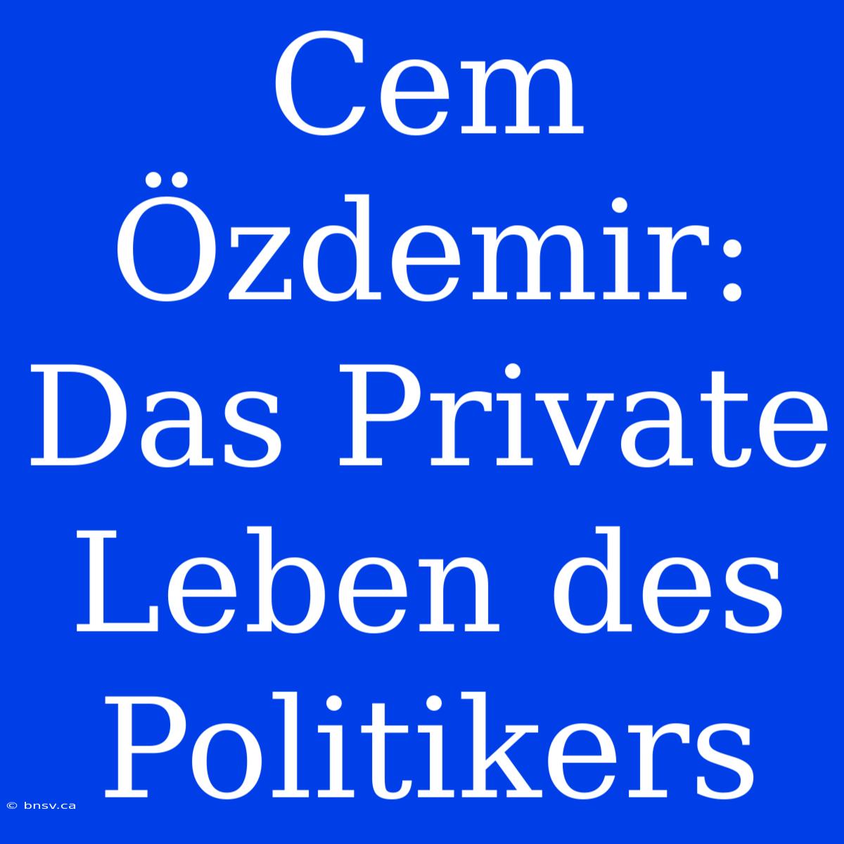 Cem Özdemir:  Das Private Leben Des Politikers