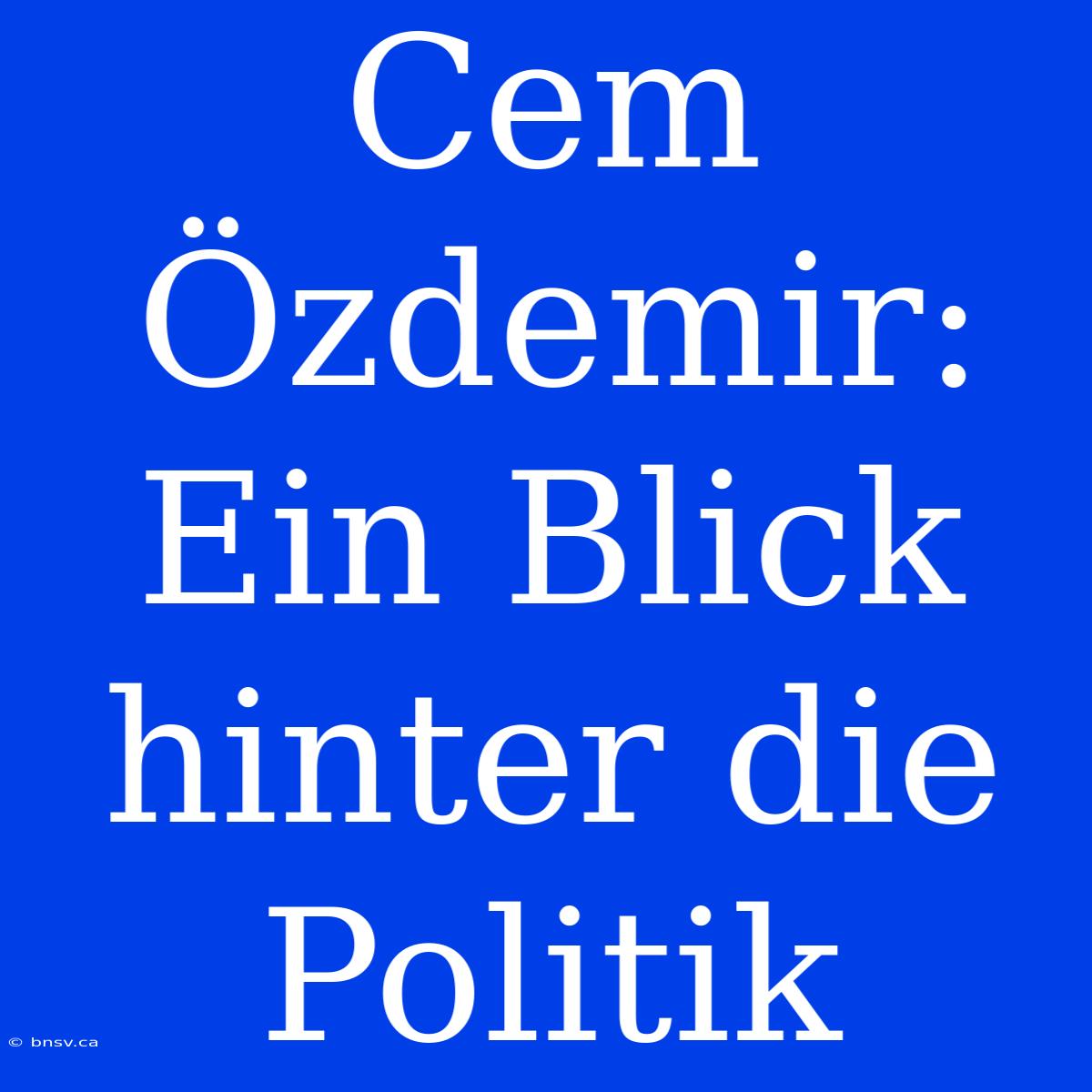 Cem Özdemir:  Ein Blick Hinter Die Politik