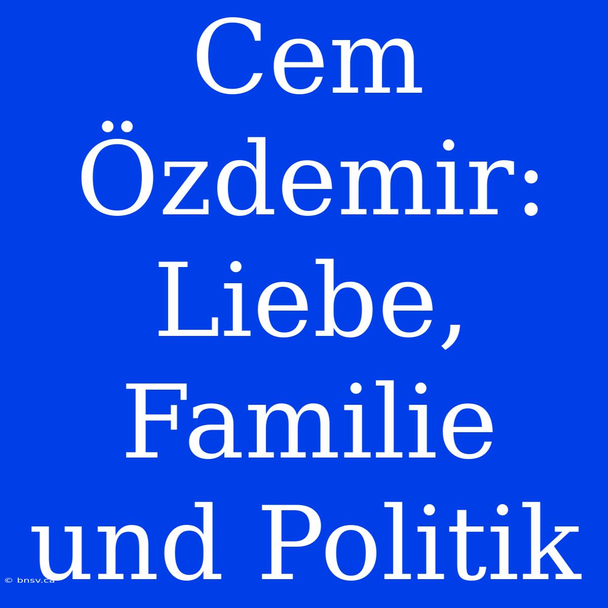 Cem Özdemir: Liebe, Familie Und Politik