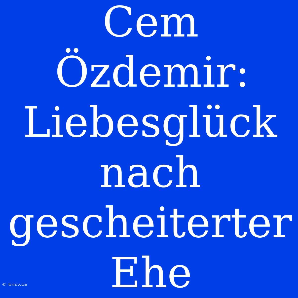 Cem Özdemir: Liebesglück Nach Gescheiterter Ehe