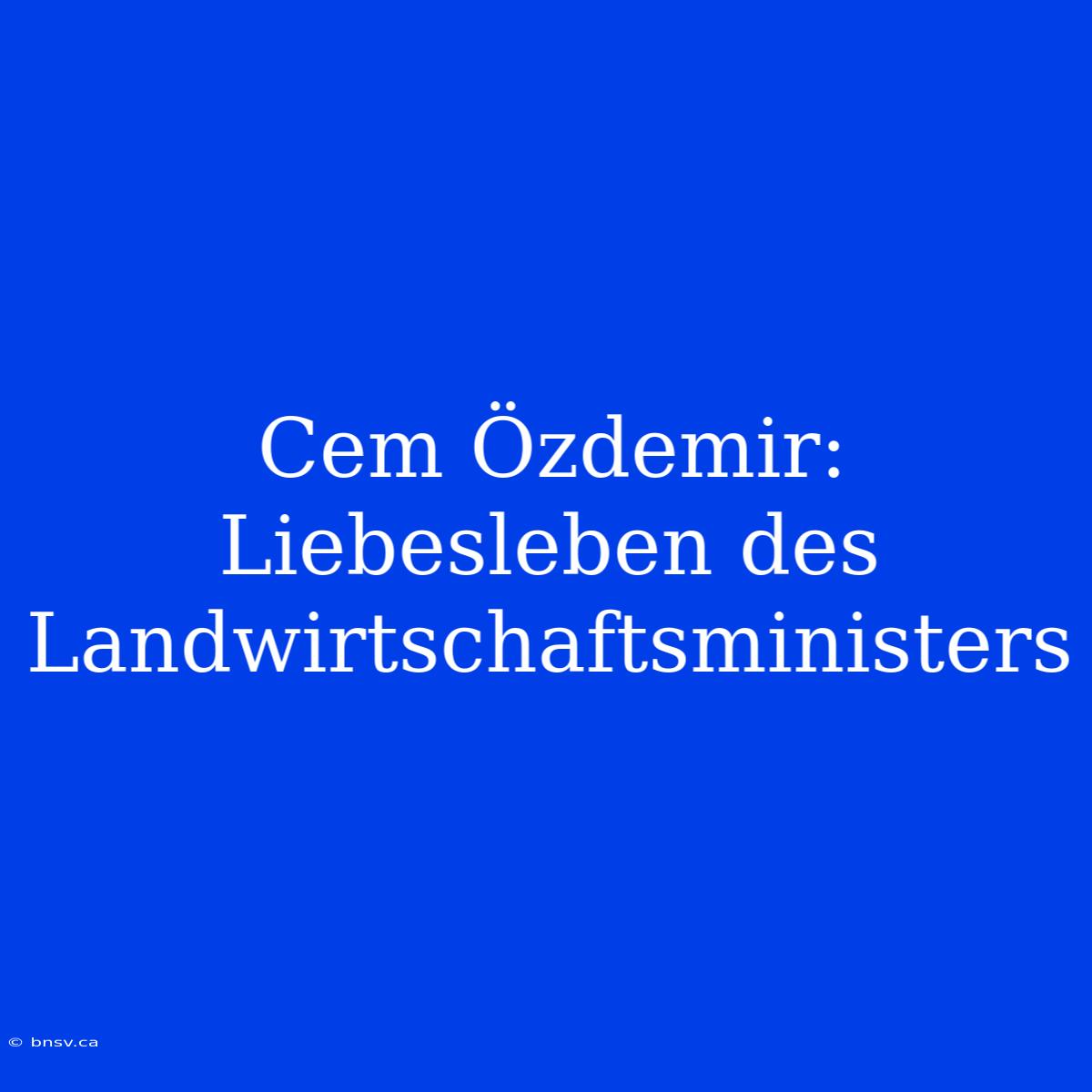 Cem Özdemir:  Liebesleben Des Landwirtschaftsministers