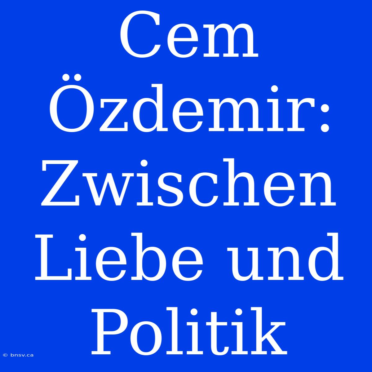 Cem Özdemir:  Zwischen Liebe Und Politik