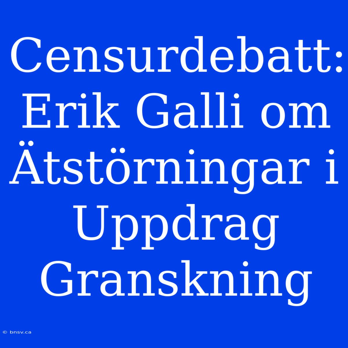 Censurdebatt: Erik Galli Om Ätstörningar I Uppdrag Granskning