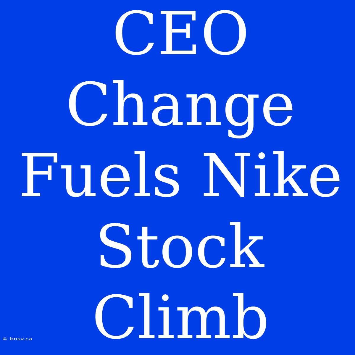 CEO Change Fuels Nike Stock Climb