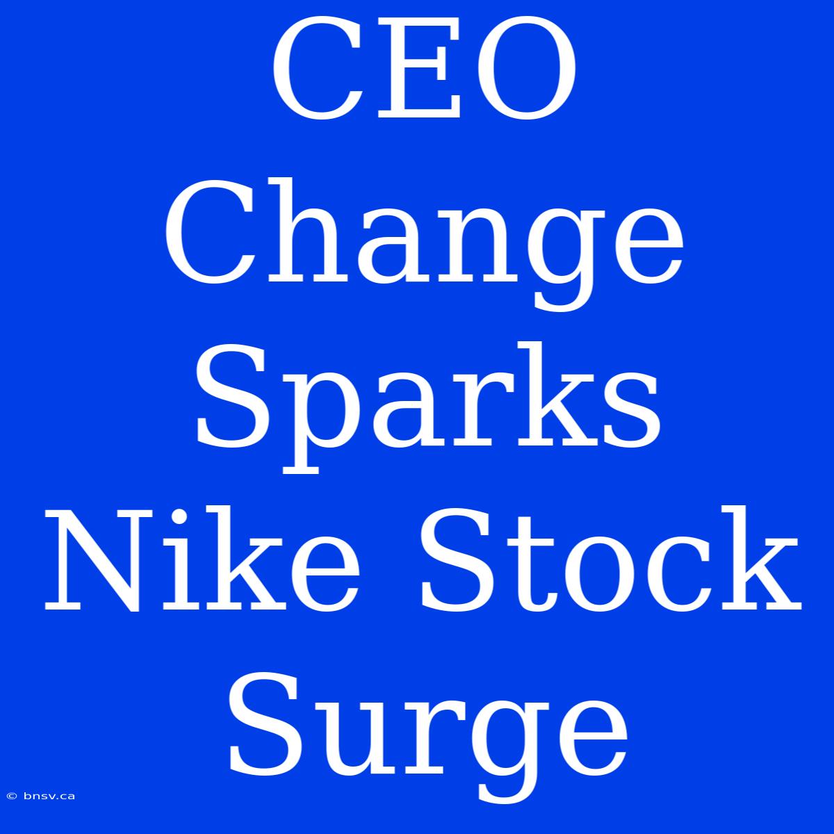 CEO Change Sparks Nike Stock Surge