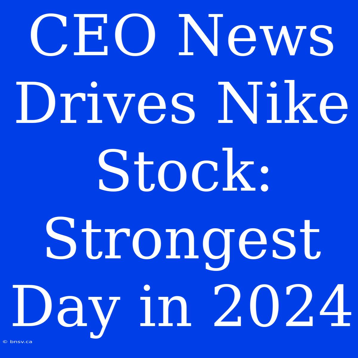 CEO News Drives Nike Stock: Strongest Day In 2024