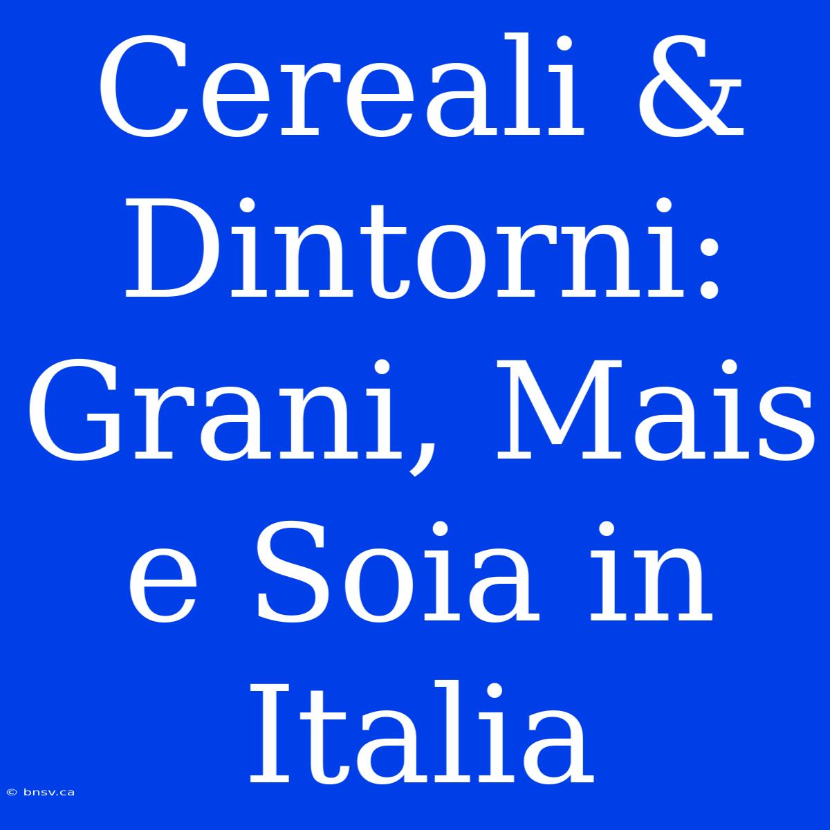 Cereali & Dintorni: Grani, Mais E Soia In Italia