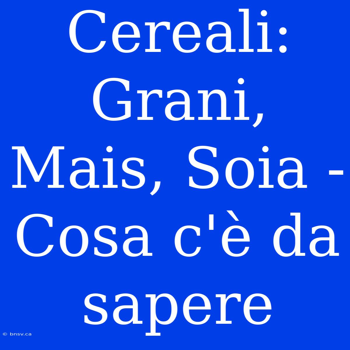 Cereali: Grani, Mais, Soia - Cosa C'è Da Sapere