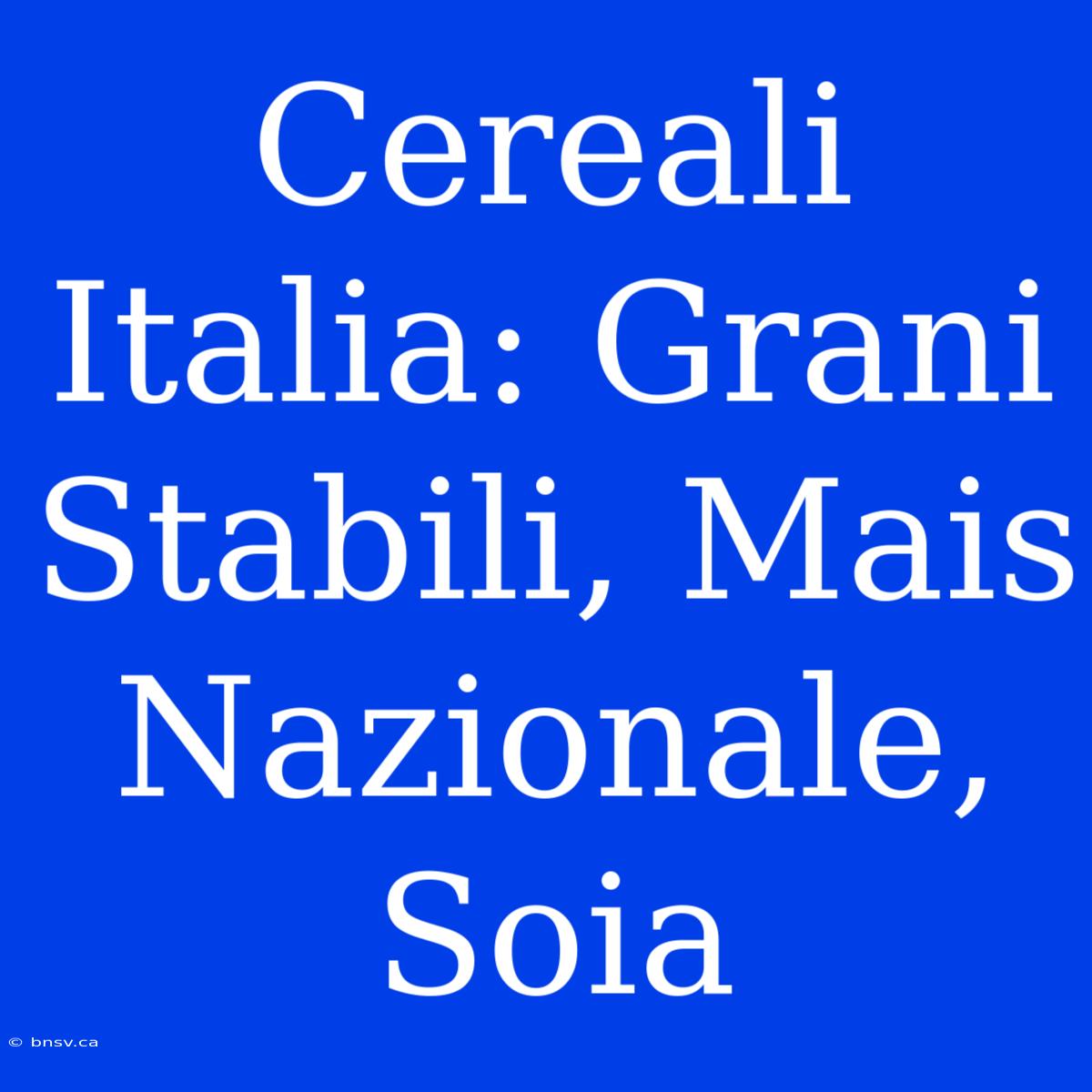 Cereali Italia: Grani Stabili, Mais Nazionale, Soia