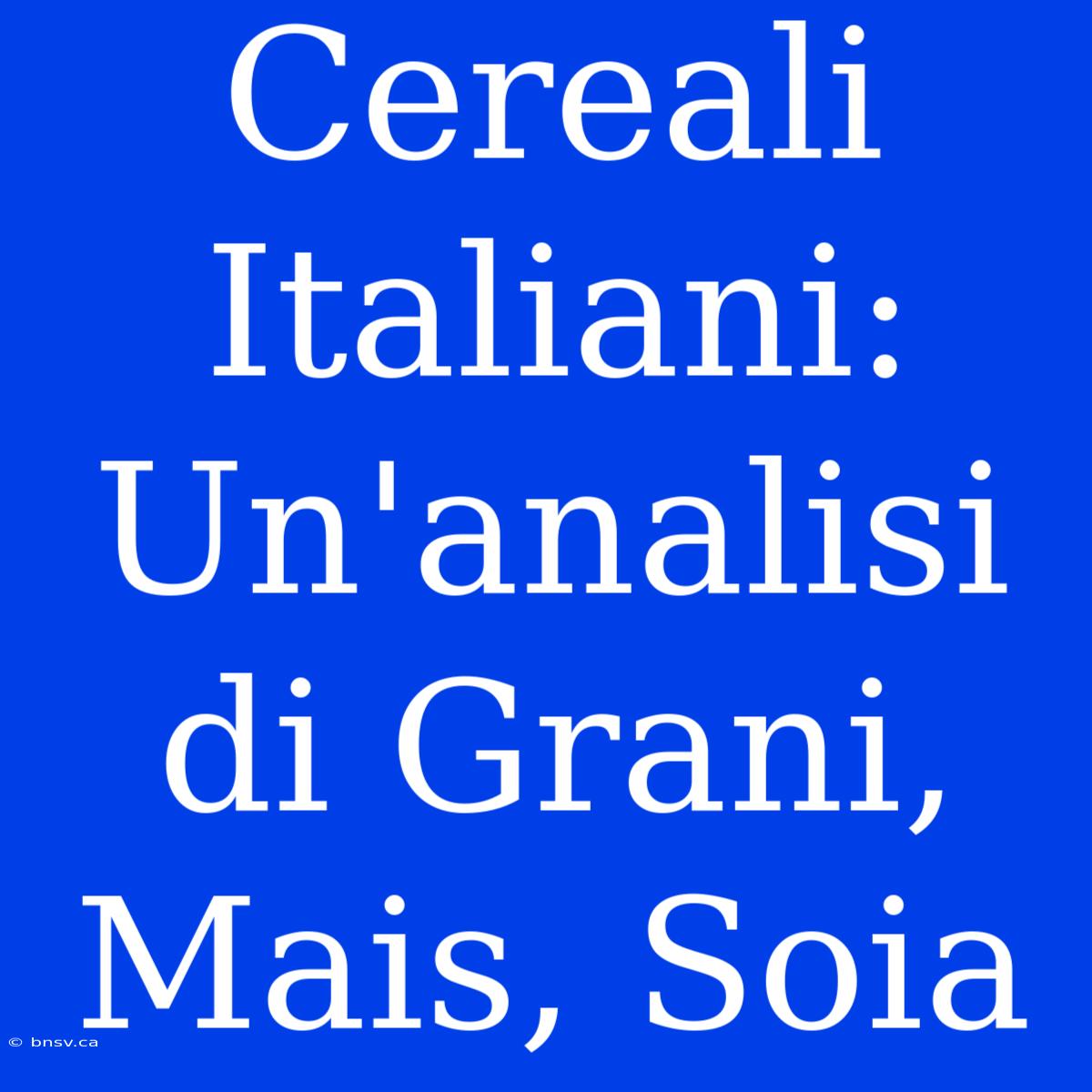 Cereali Italiani: Un'analisi Di Grani, Mais, Soia