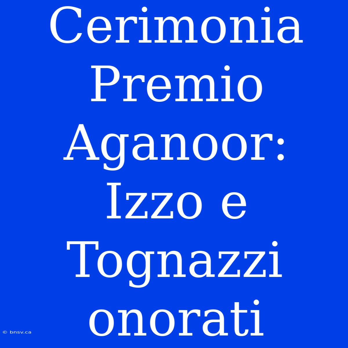 Cerimonia Premio Aganoor: Izzo E Tognazzi Onorati