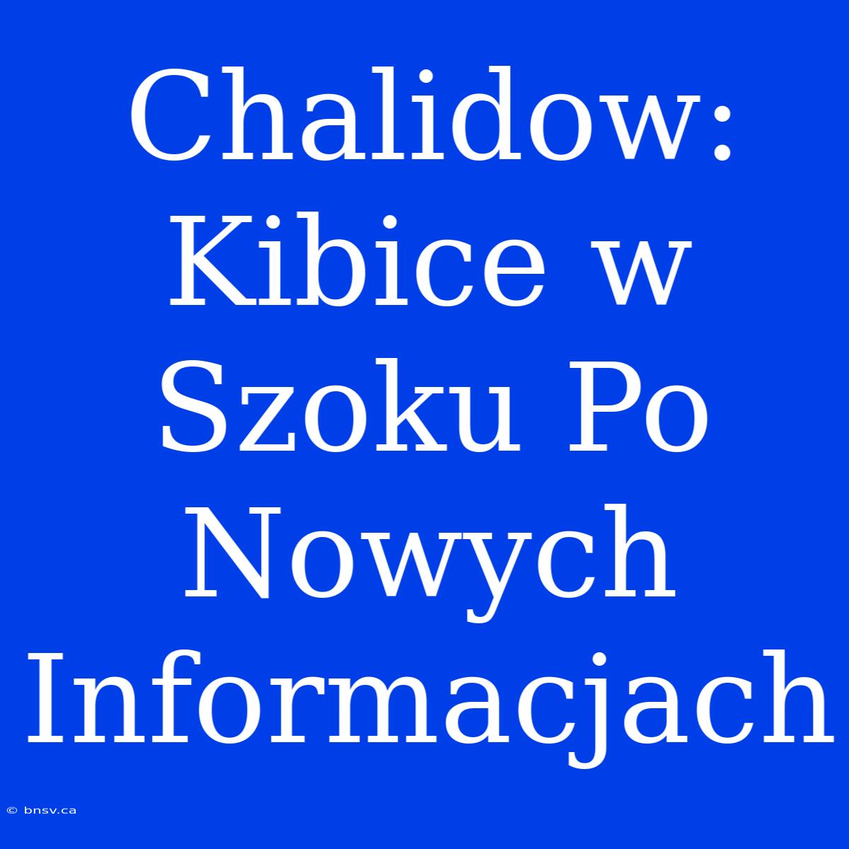 Chalidow: Kibice W Szoku Po Nowych Informacjach