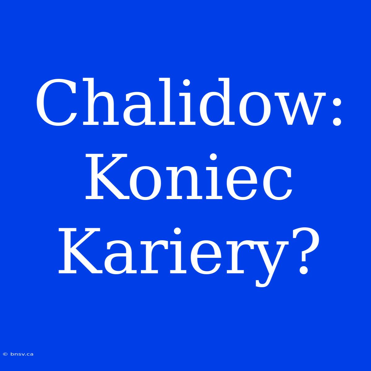 Chalidow: Koniec Kariery?