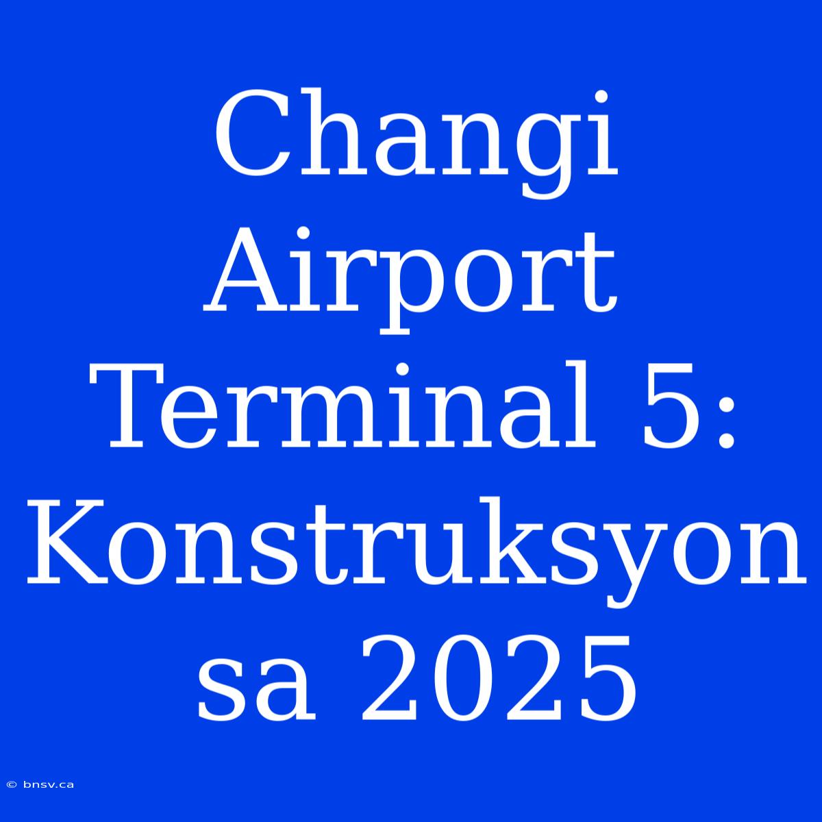 Changi Airport Terminal 5: Konstruksyon Sa 2025