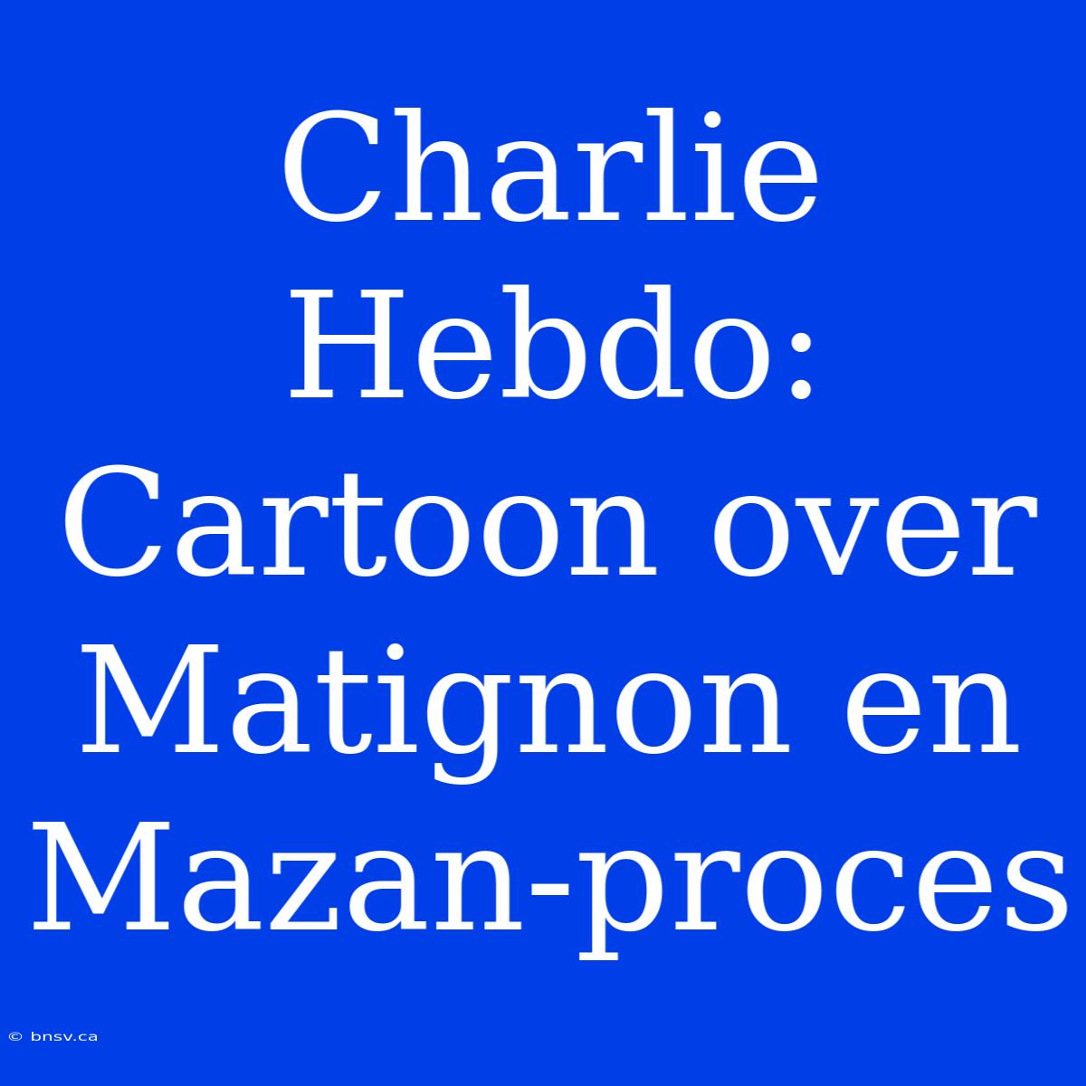 Charlie Hebdo: Cartoon Over Matignon En Mazan-proces