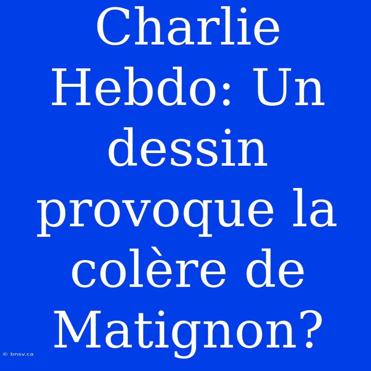 Charlie Hebdo: Un Dessin Provoque La Colère De Matignon?