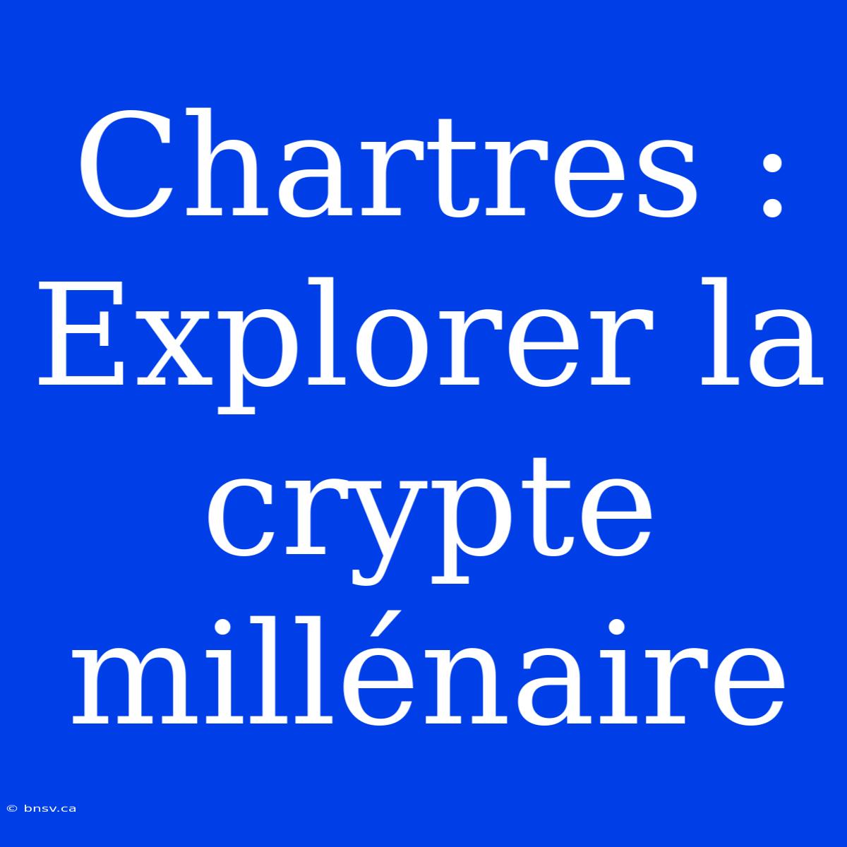 Chartres : Explorer La Crypte Millénaire