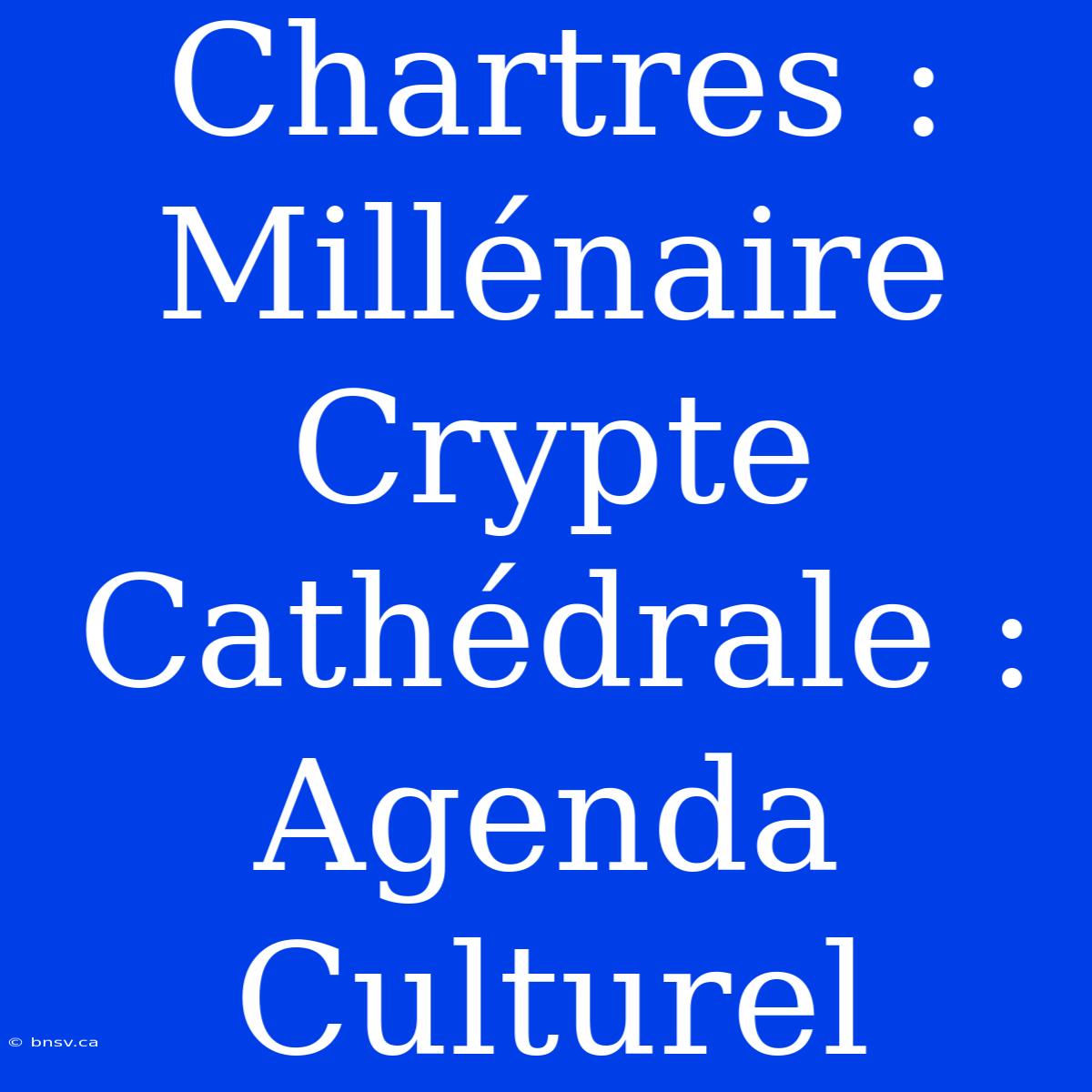 Chartres : Millénaire Crypte Cathédrale : Agenda Culturel