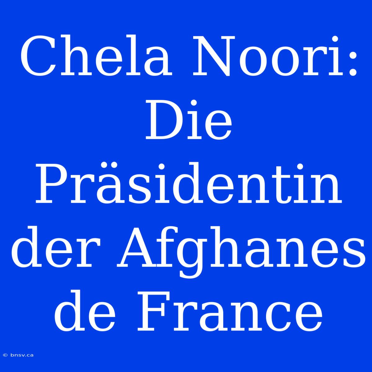 Chela Noori: Die Präsidentin Der Afghanes De France