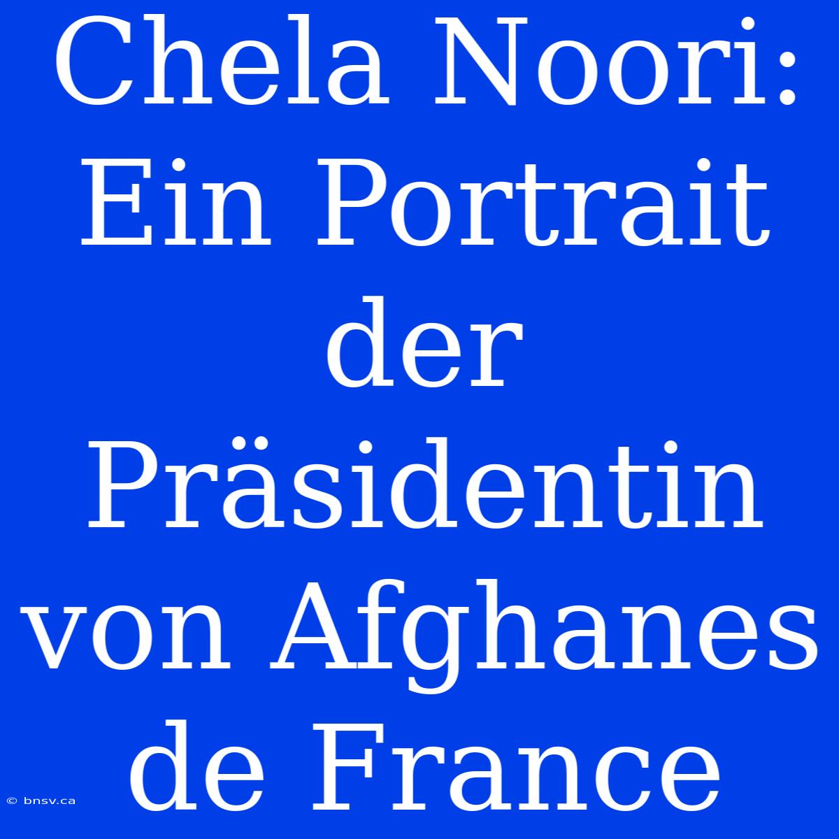 Chela Noori: Ein Portrait Der Präsidentin Von Afghanes De France