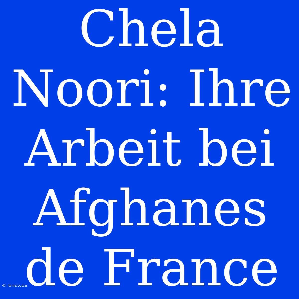 Chela Noori: Ihre Arbeit Bei Afghanes De France