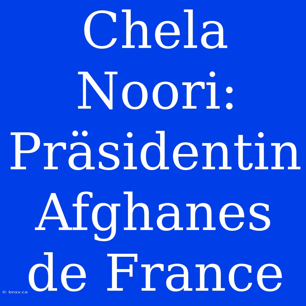 Chela Noori: Präsidentin Afghanes De France