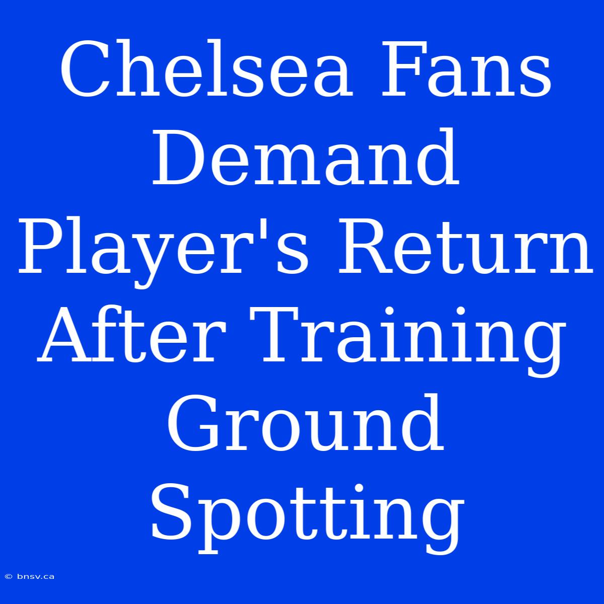 Chelsea Fans Demand Player's Return After Training Ground Spotting