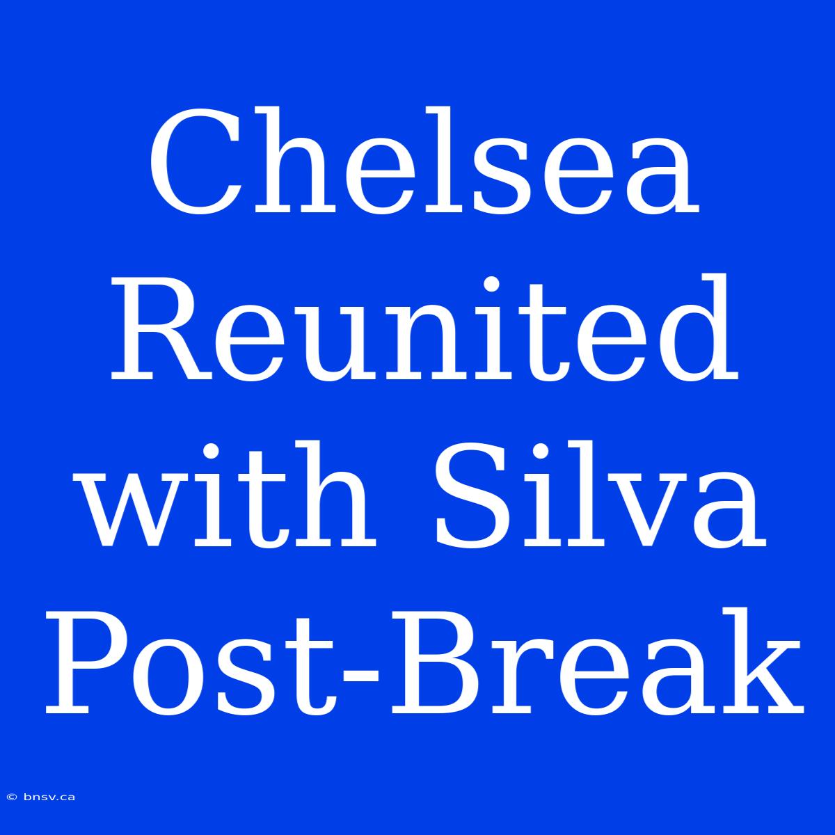 Chelsea Reunited With Silva Post-Break