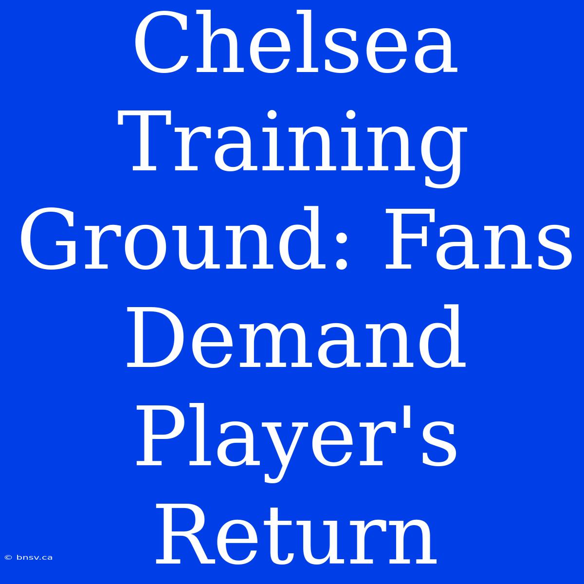 Chelsea Training Ground: Fans Demand Player's Return