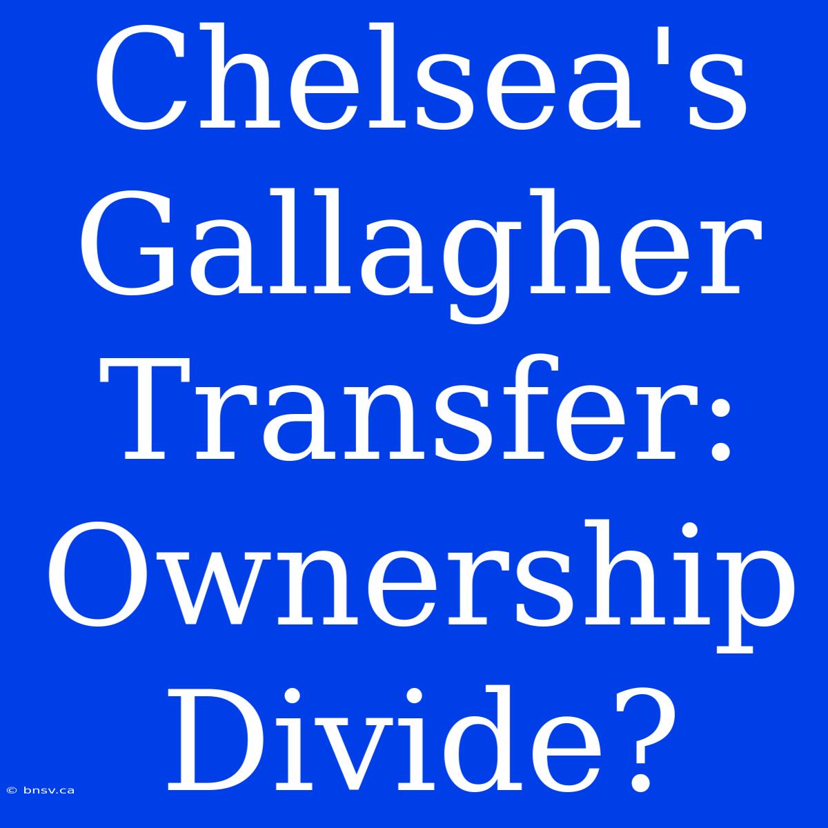 Chelsea's Gallagher Transfer: Ownership Divide?