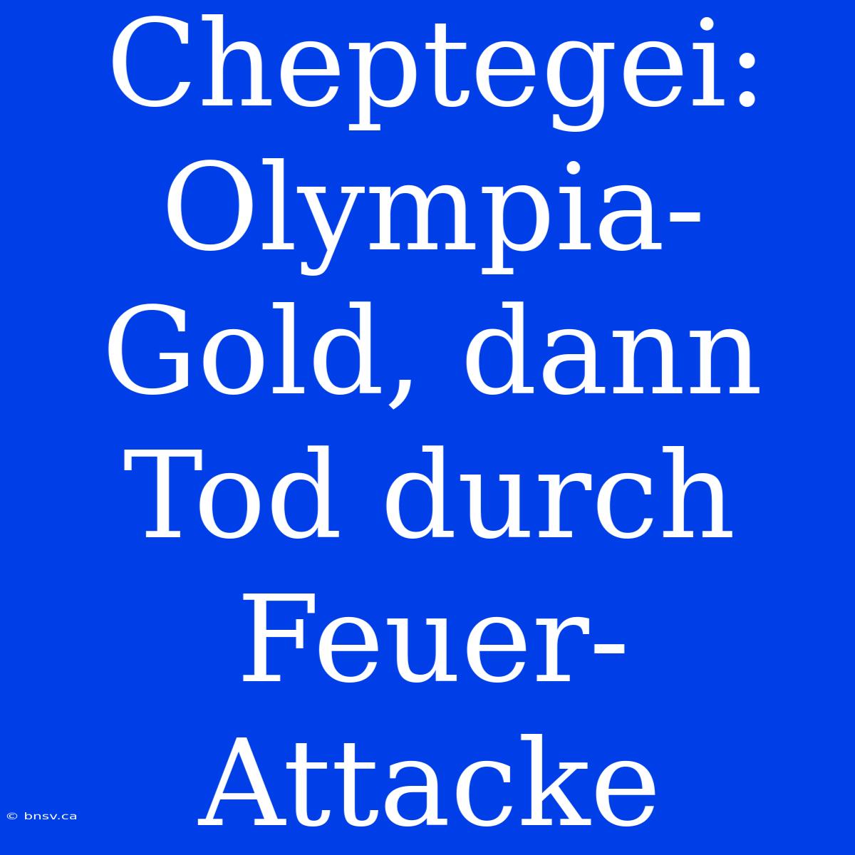 Cheptegei: Olympia-Gold, Dann Tod Durch Feuer-Attacke