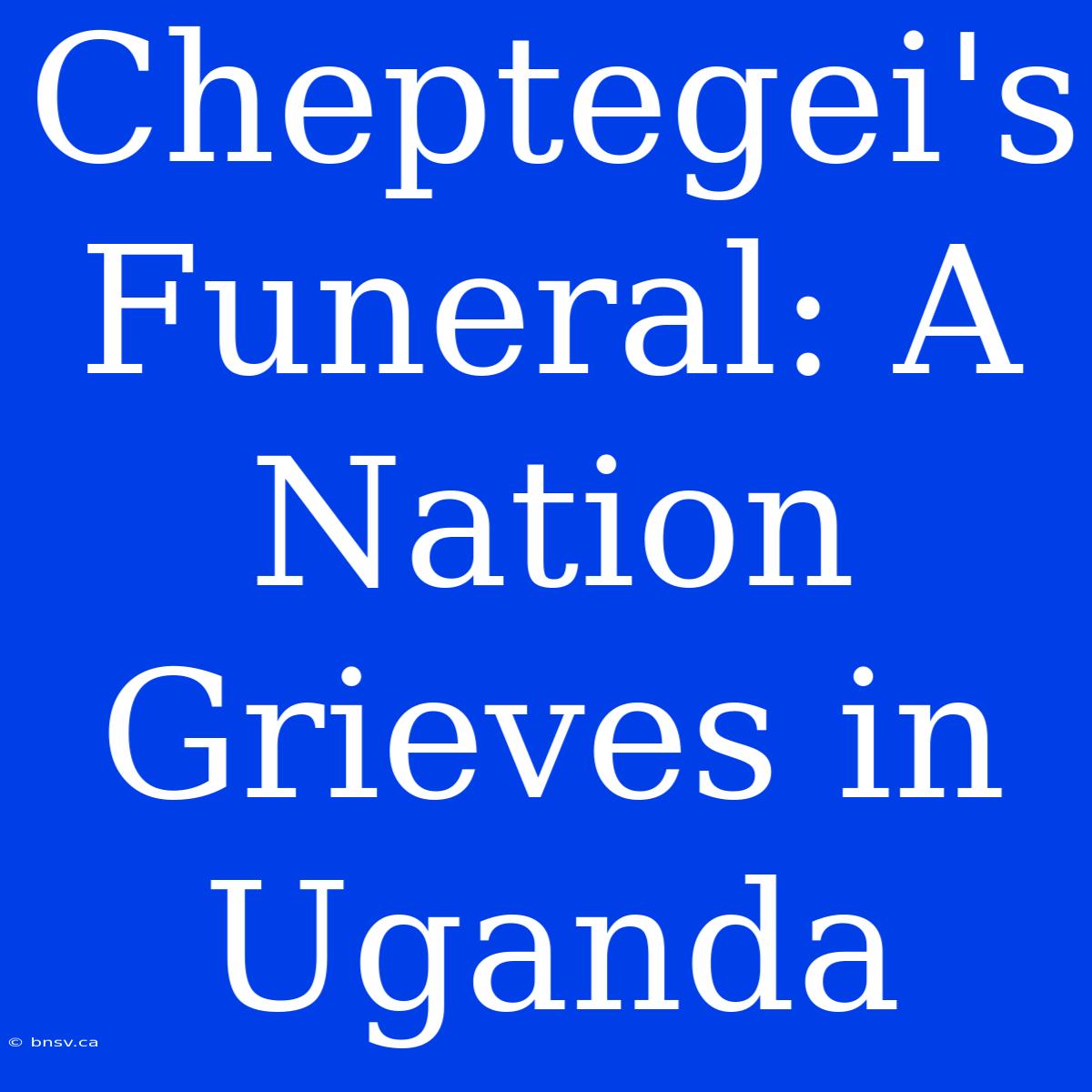 Cheptegei's Funeral: A Nation Grieves In Uganda