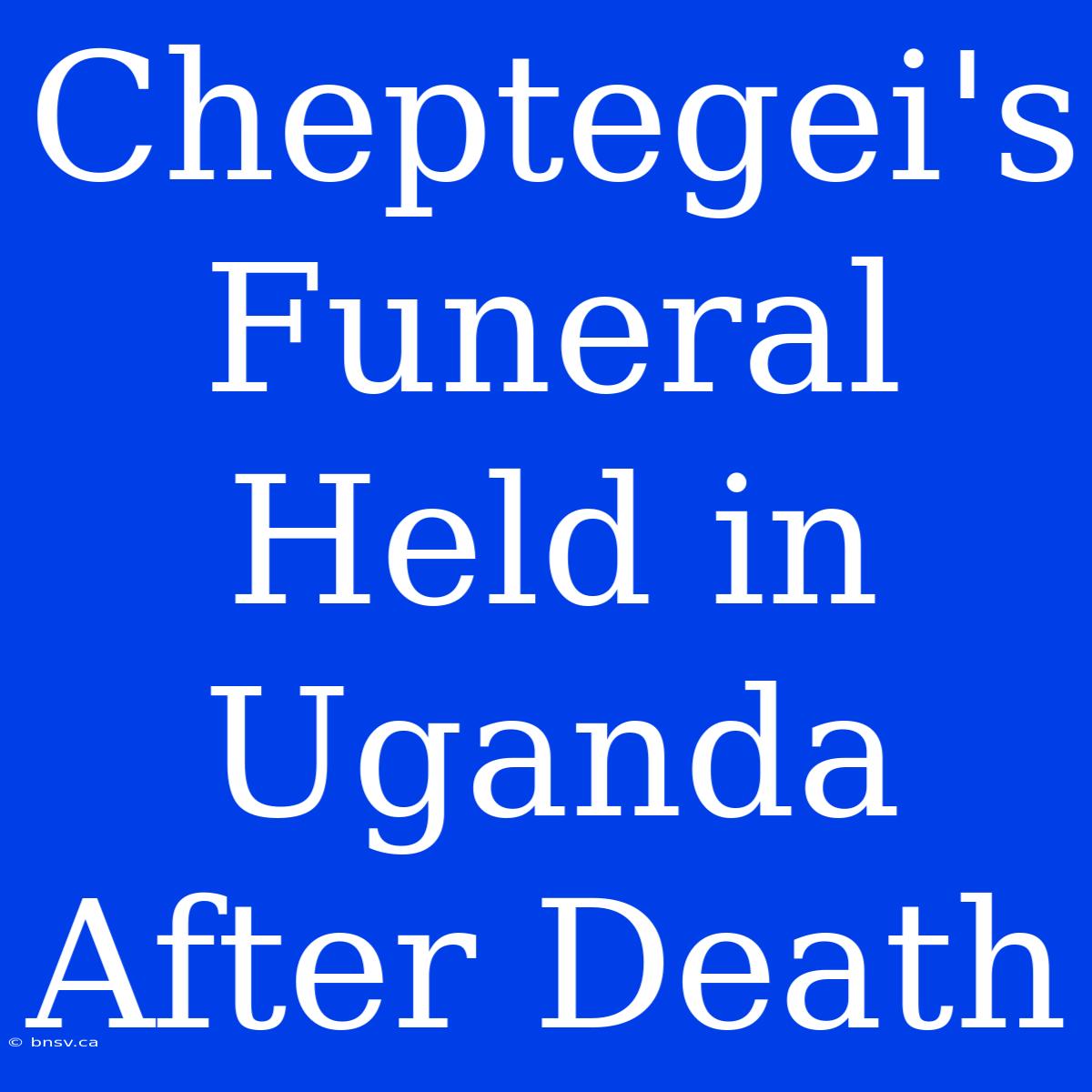 Cheptegei's Funeral Held In Uganda After Death