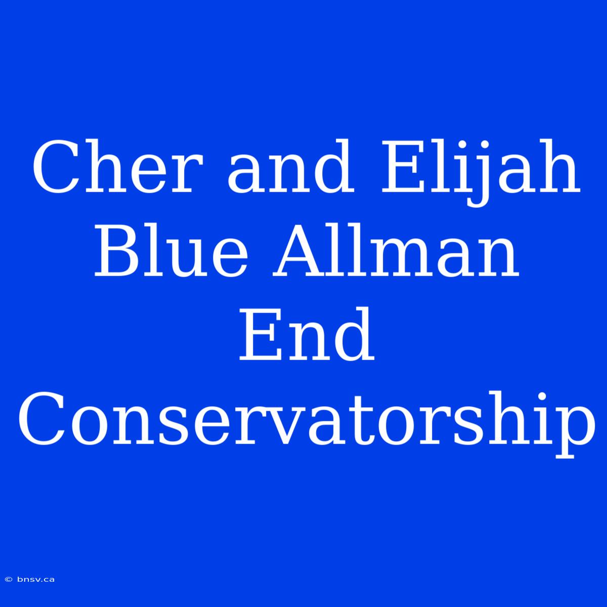 Cher And Elijah Blue Allman End Conservatorship