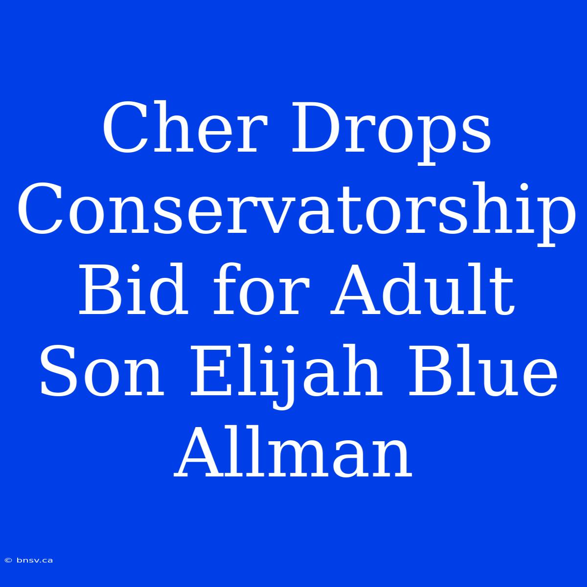 Cher Drops Conservatorship Bid For Adult Son Elijah Blue Allman