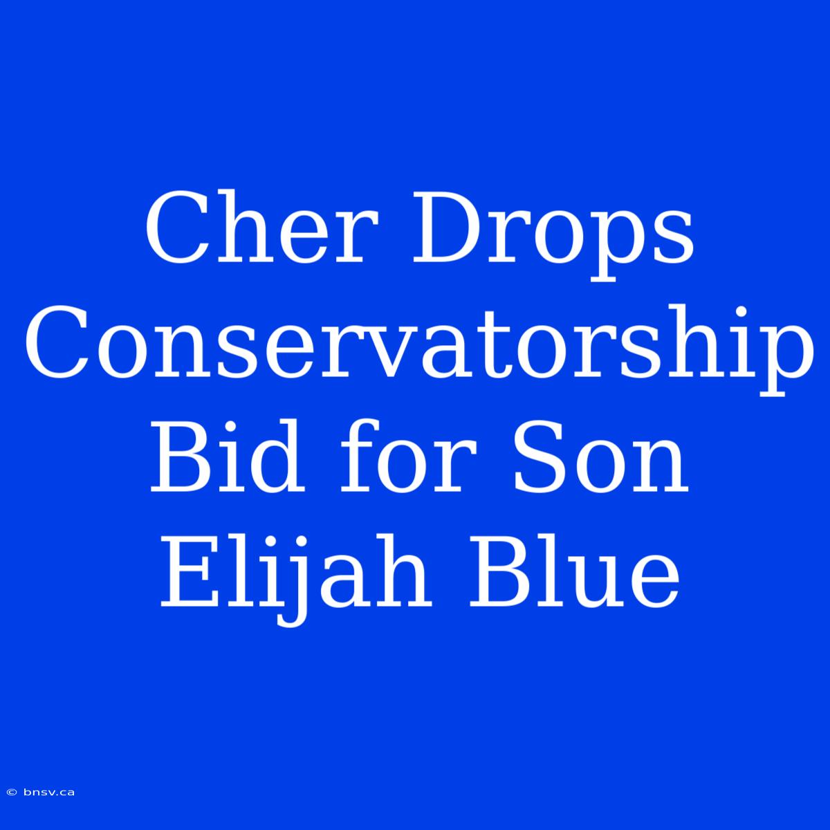 Cher Drops Conservatorship Bid For Son Elijah Blue