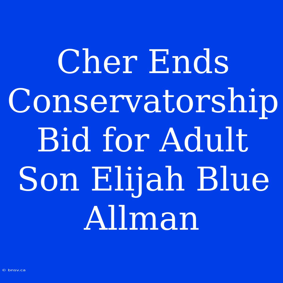 Cher Ends Conservatorship Bid For Adult Son Elijah Blue Allman