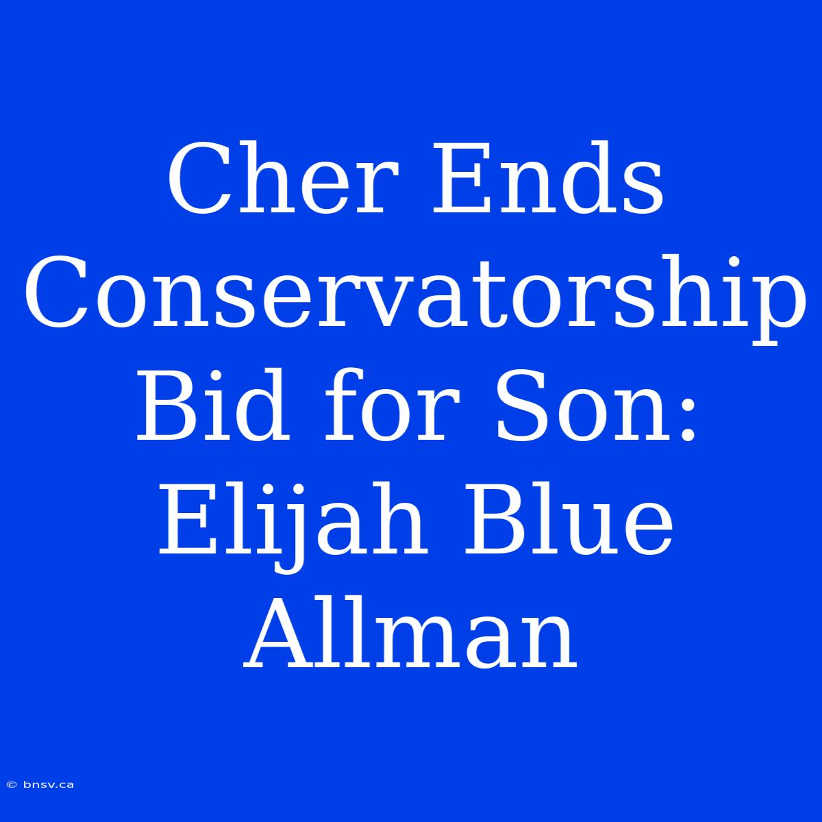 Cher Ends Conservatorship Bid For Son: Elijah Blue Allman