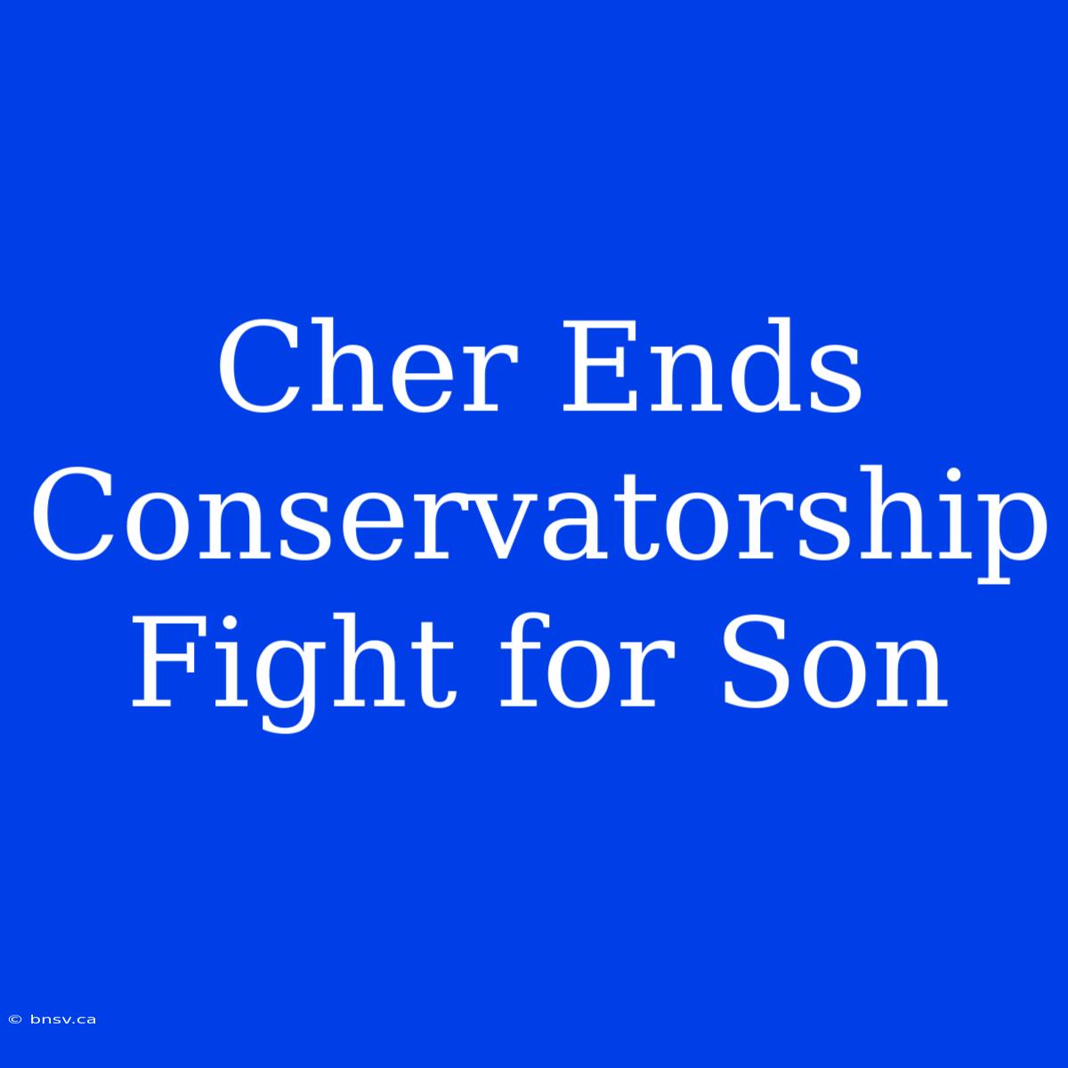 Cher Ends Conservatorship Fight For Son