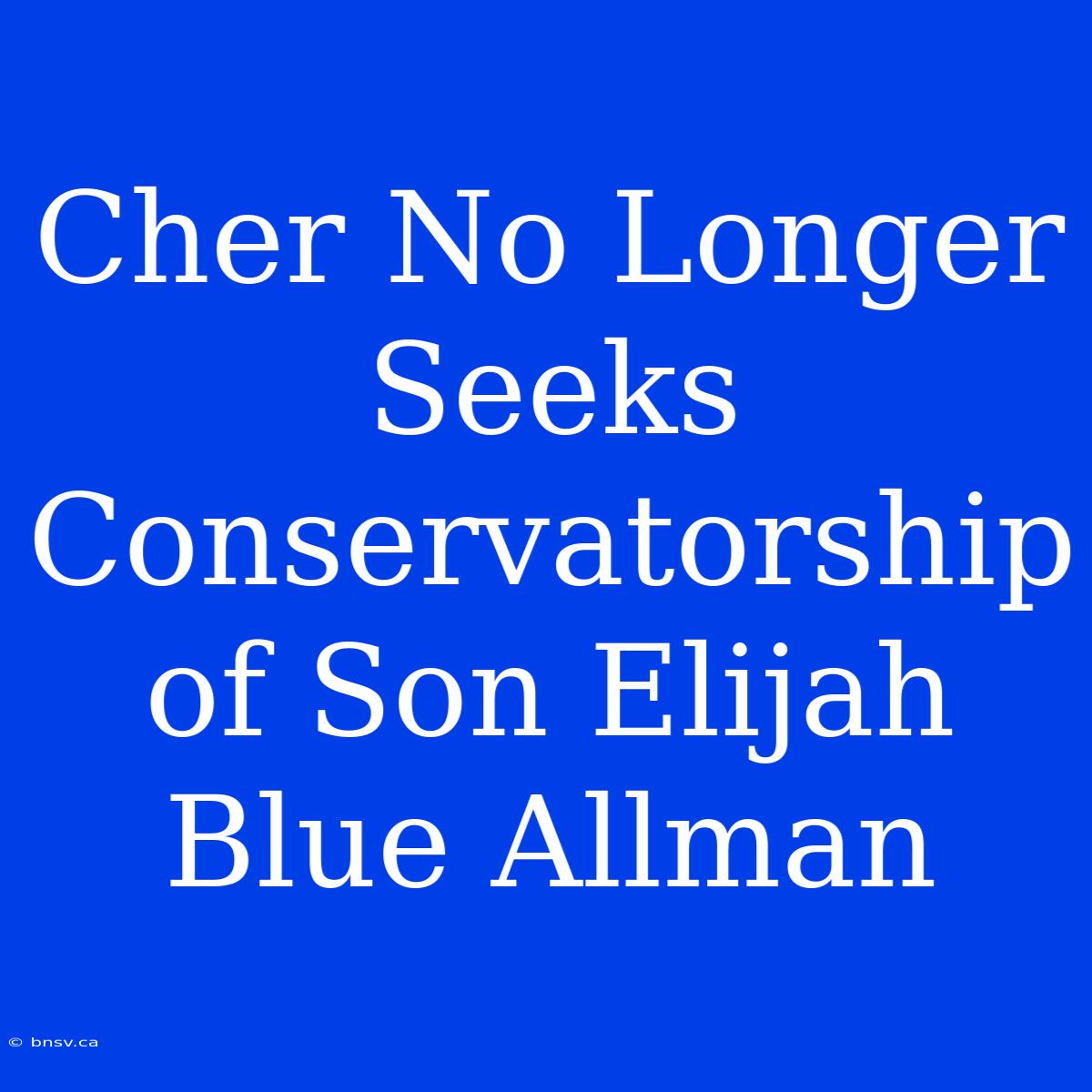 Cher No Longer Seeks Conservatorship Of Son Elijah Blue Allman