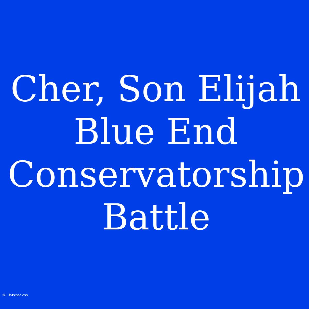 Cher, Son Elijah Blue End Conservatorship Battle