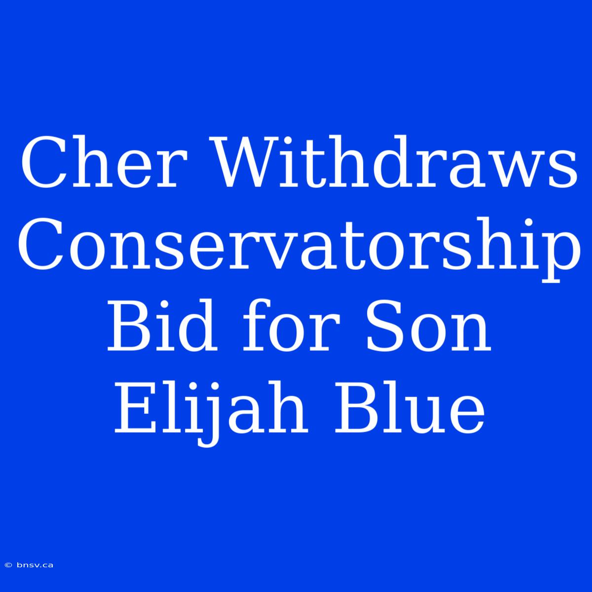 Cher Withdraws Conservatorship Bid For Son Elijah Blue