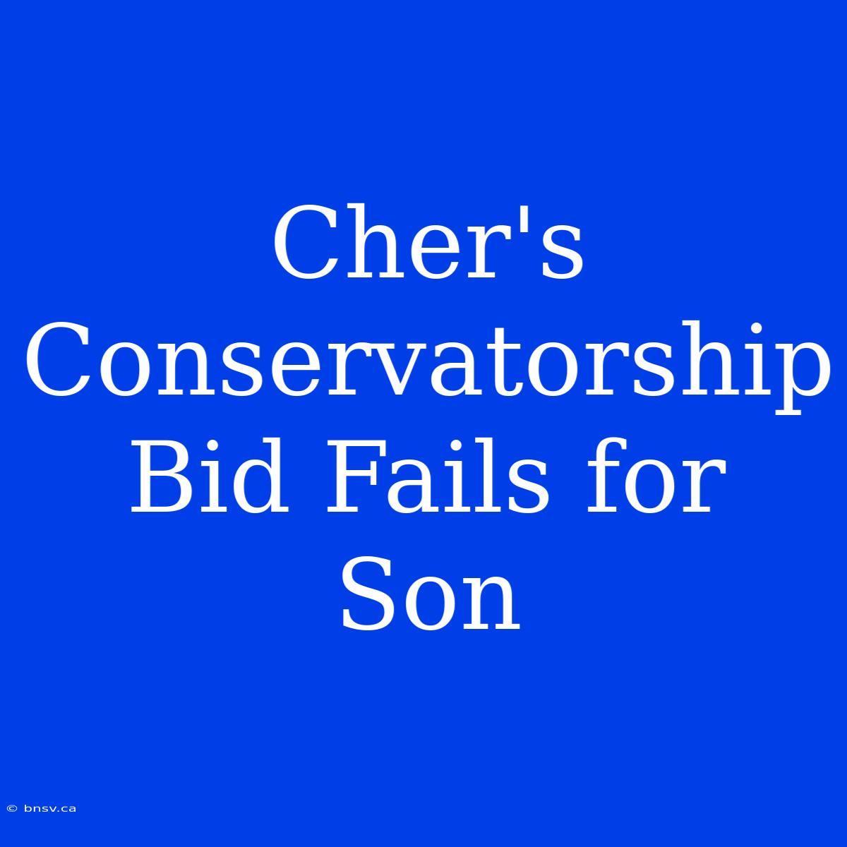 Cher's Conservatorship Bid Fails For Son