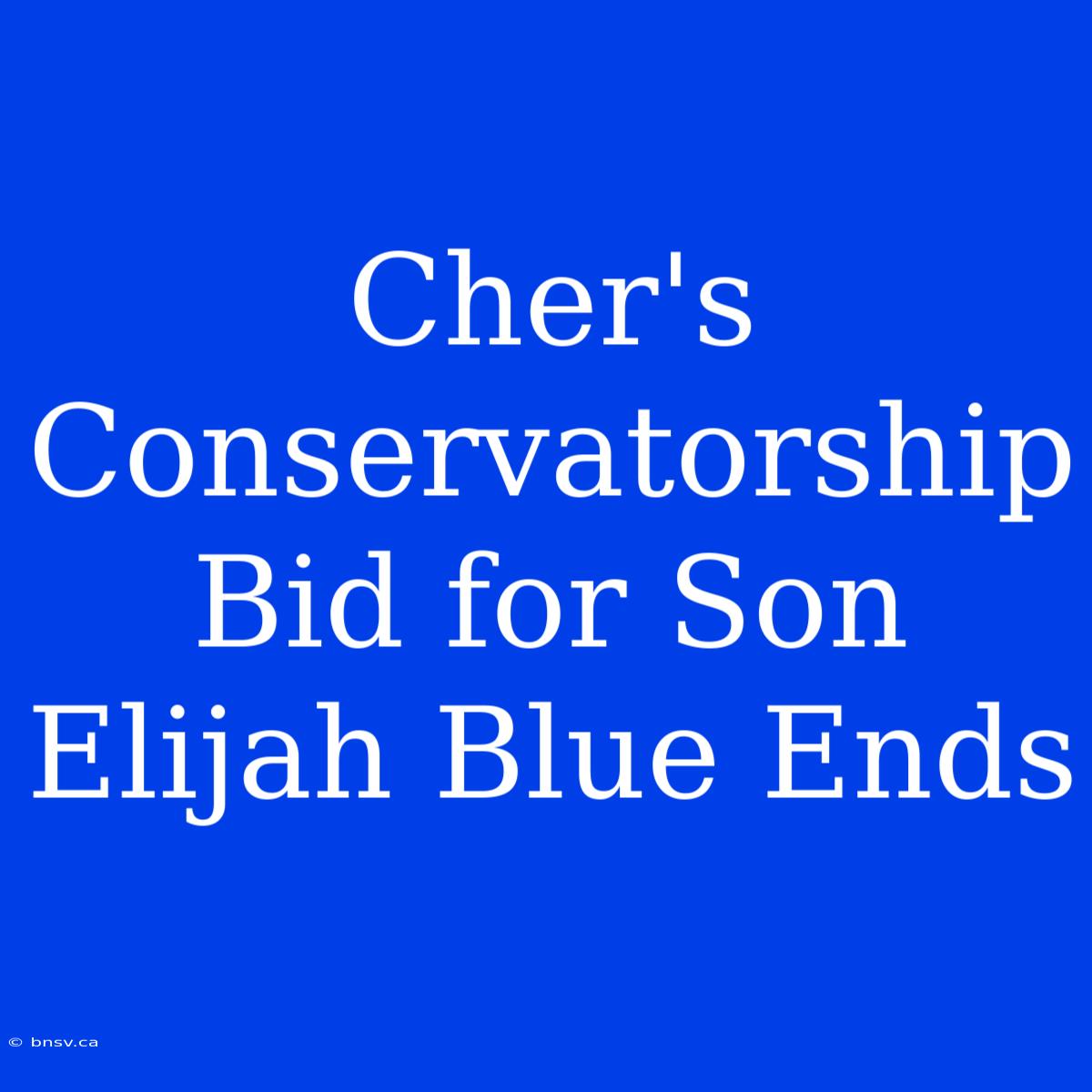 Cher's Conservatorship Bid For Son Elijah Blue Ends