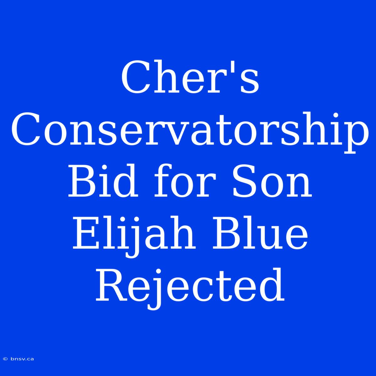 Cher's Conservatorship Bid For Son Elijah Blue Rejected